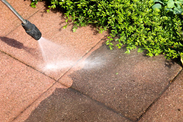  Exeter, CA Pressure Washing Pros